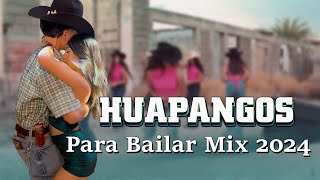 Puros Huapangos Para Bailar Mix 2024  Mix de Huapangos 2024  Huapangos Pa Zapatear 2024 [upl. by Gisela]