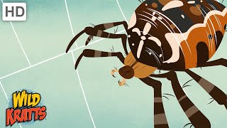 Wild Kratts  Bugs Part 1  Insects Arachnids Worms and other Creepy Crawlies [upl. by Christian953]