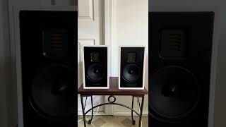 Martin Logan Motion 15 [upl. by Huoh]