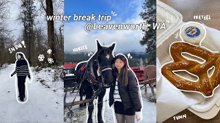 winter break trip vlog Leavenworth Washington sleigh ride alpine coaster snowmobiling etc [upl. by Ikey285]