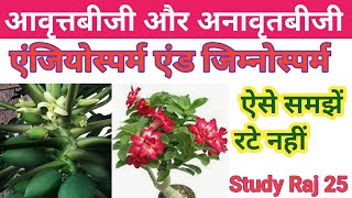 अनावृतबीजी और आवृत्तबीजी पौधे  gymnosperms amp angiosperms पादप  important character of angiosperm [upl. by Maury]