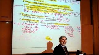 BIOLOGY CYTOLOGY PART 3 by Professor Fink [upl. by Nivra]