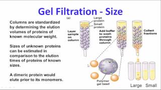 Protein Purification and Characterization 2014 [upl. by Anneh]