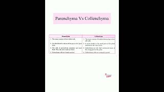 Differences between Parenchyma and CollenchymaTissueClass9th Biology shorts sciencenotes class9 [upl. by Ellehcsar]