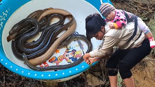 Catch eels from ancient wells cook stirfried eels in a bamboo house green life ep9 [upl. by Ennahteb576]