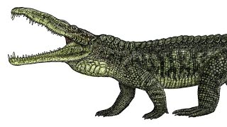 Smilosuchus One Of The Largest Amphibious Predators Before The Dinosaurs [upl. by Ameen114]