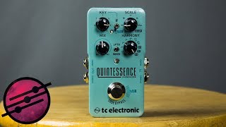 TC Electronic Quintessence Harmonizer Demo Ambient Guitar Gear Review [upl. by Kriste]