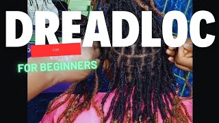 Temporary DREADLOCKS installation Step by step  BEGINNERS Friendly  FULL tutorial [upl. by Atinihs]