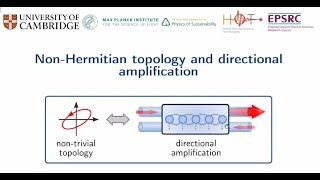 Clara Wanjura NonHermitian topology and directional amplification [upl. by Ronn80]