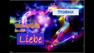 STEINBOCK♑  💞EinBlick in die LIEBE [upl. by Adnawak]