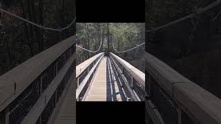 AMAZING SUSPENSION BRIDGE  Tallulah Gorge Suspension Bridge  subscribe youtubehighfive [upl. by Beckett]