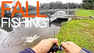 EPIC Fall Bass Pond Fishing [upl. by Jumbala3]