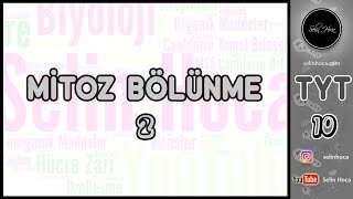 10 Sınıf Biyoloji  Mayoz Bölünme ve Evreleri  2022 [upl. by Yelkreb]