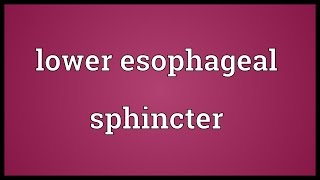 Lower esophageal sphincter Meaning [upl. by Aenehs]