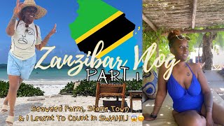 😍🏝️ ZANZIBAR VLOG pt1 ACCOMMODATION LEARN SWAHILI  SEAWEED FARM  STONE TOWN [upl. by Kirkpatrick]