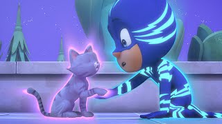 Catboys Cat 🐱 Weird Powers ⭐ 2021 Season 4 ⭐ PJ Masks Official [upl. by Nivrehs]