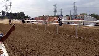 Pico Rivera Sports Arenahorse races [upl. by Jaf580]