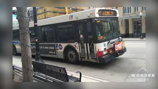 Cta buses in Action Part 6 [upl. by Aliza]