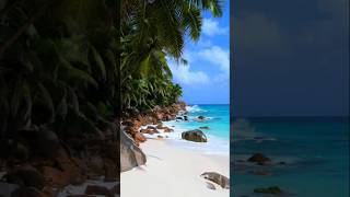 Unique nature of Seychelles islands🏝️💙 shortvideo comment like nature amazingshorts love [upl. by Cornel174]