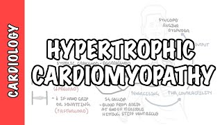 Hypertrophic cardiomyopathy  signs and symptoms causes pathophysiology treatment [upl. by Luanne55]