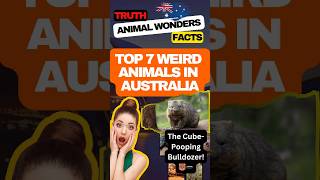 Fascinating Facts About Wombats animalwonders [upl. by Enylhsa]