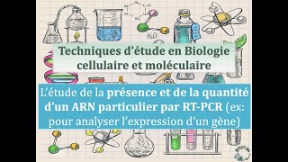 Fiches Techniques  Létude de la présence et de la quantité dun ARN particulier par RTPCR [upl. by Nalyd903]