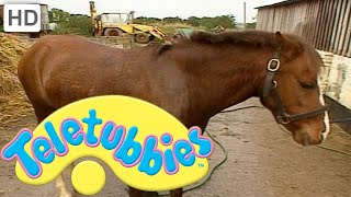 Teletubbies Emily Washing the Pony  Full Episode [upl. by Connell]