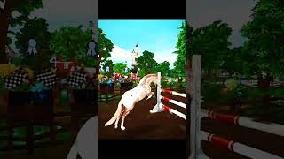 no more 😍😘 horse sso horses starstableonline capcut appaloosa [upl. by Ilagam]