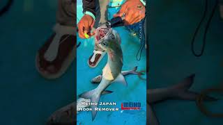 Mehio Hook Remover 🎣 Very useful product for Anglers tackletips shorts [upl. by Anileh]