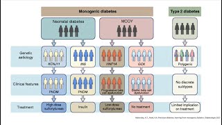 Maybe its MODY An Introduction to Monogenic Diabetes Webinar 2023 [upl. by Kyla652]