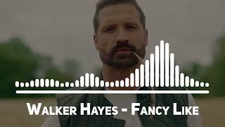 Walker Hayes Fancy Like Top Song [upl. by Verras]