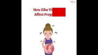 Zika Virus Infection During Pregnancy  Know the Risks and Prevetion [upl. by Stelu]