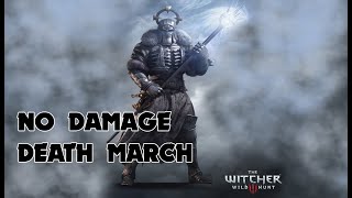 The Witcher 3 Wild Hunt  Caranthir Boss Fight No Damage NG Death March [upl. by Avrit]