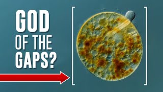 God of the GAPS Address the Science Problems with abiogenesis shorts [upl. by Noda]