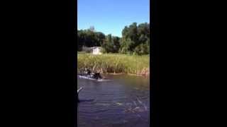 Clearing an overgrown pond with cattails [upl. by Lanrev475]