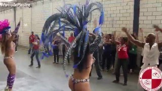 Espetáculo de carnaval dentro da convenção de vendas  Apito de Mestre [upl. by Mclaurin252]