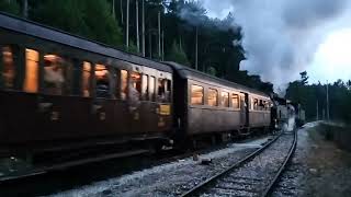 Transiberiana dItalia il viaggio nel Foliage con le locomotive a vapore [upl. by Lalat501]