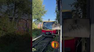 Einfahrt S25 nach Teltow Stadt am SBahnhof Yorkstraße sbahn train [upl. by Htur]