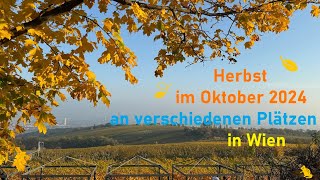 Wien im Herbst im Oktober 2024 🍂🐿️ [upl. by Virginie]