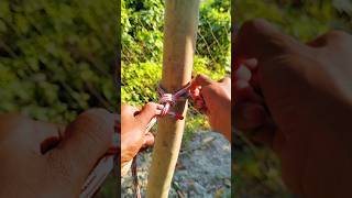 Quick Guide Lifesaving Anchor Knot Tutorial knots knot shortsfeed shorts [upl. by Jahdol]