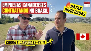 Empresas Canadenses buscam brasileiros não é clickbait [upl. by Kutzer]