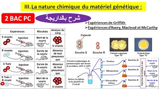 Nature chimique de linformation génétique 2 bac pc شرح بالداريجة [upl. by Stedman]