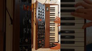 The Persuaders Theme Attenti a quei due  Minimoog Cover [upl. by Aziul]