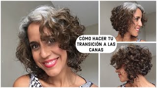 CÓMO HACER TU TRANSICIÓN A LAS CANAS  CONSEJOS  GREY HAIR [upl. by Vareck]