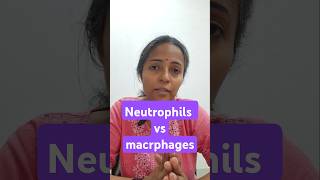 phagocytosis physiology class mbbs1styear physiologyvideos physiologylectures [upl. by Muns]