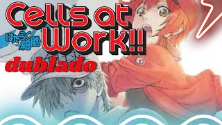 cells at work dublado pt br ep 1 [upl. by Ahselyt938]