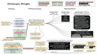 Chickenpox Shingles mechanism of diseases [upl. by Elleirol515]