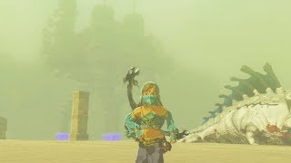 Fighting Molduga King before Boarding Divine Beast Vah Naboris  Zelda Breath of the Wild [upl. by Drofyar]