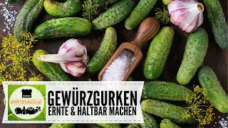 Gewürzgurken einkochen 🥒 Gurken einmachen 🥒 Essiggurken haltbar machen 🥒Direkt vom Beet ins Glas [upl. by Nerrot]