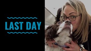 Last Day VLOG 57 with dog lymphoma mast cell tumors testicular cancer and cat hemangiosarcoma [upl. by Asi]